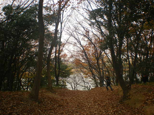 新海池公園