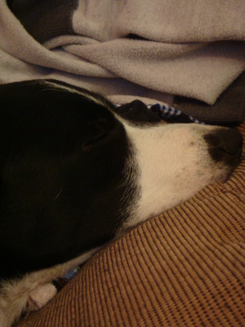 DSC00657.JPG