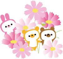 ’09コスモス２