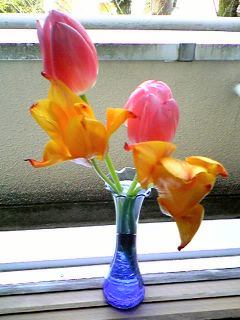 090407a.jpg