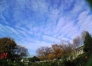091130 (11).jpg
