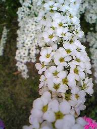100405_256.jpg