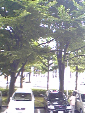 080926t1.jpg