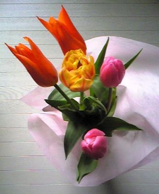 090329b_400.jpg