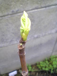 090422d.jpg