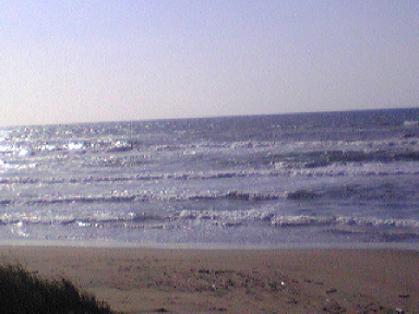 080924a.jpg