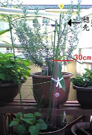 090422h.jpg