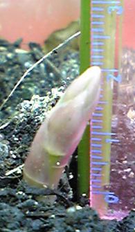 090422b.jpg