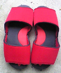 0809272.jpg