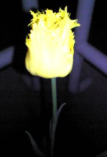 090422g.jpg