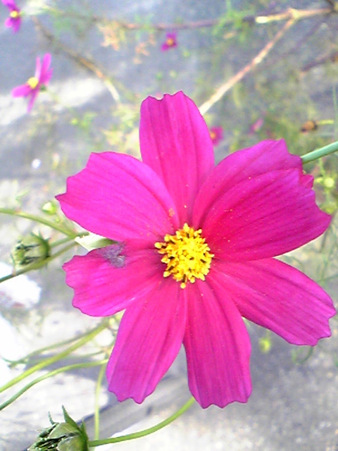 081016c.jpg