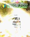 しーふ３.JPG