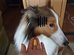 DSCF0071_SP0000.jpg