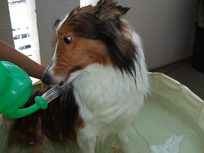 DSCF0166_SP0000.jpg