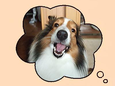 DSCF0020_SP0000 吹出.jpg