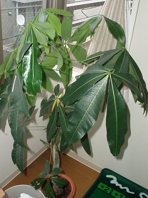 PA010316.JPG