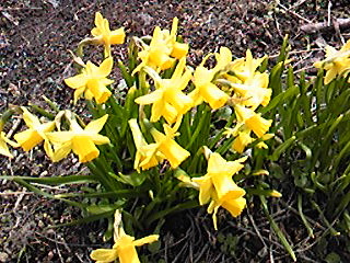 2010-04-20 21:17:43