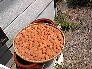 2010-07-28 18:13:13