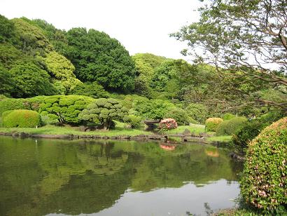 小石川植物園