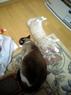 2009-01-11 22:38:11