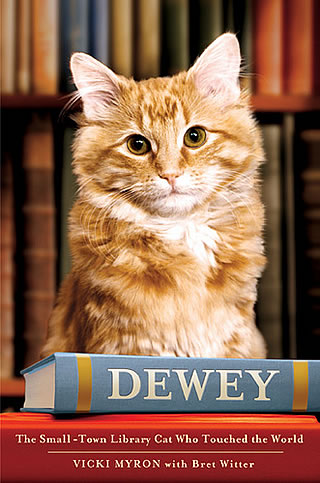 世界一有名な猫～図書館猫のデューイ～