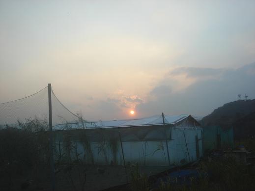 夕日.JPG