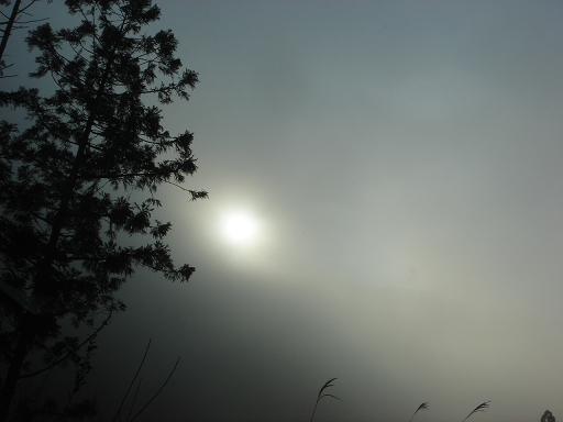 霧の中の太陽.JPG