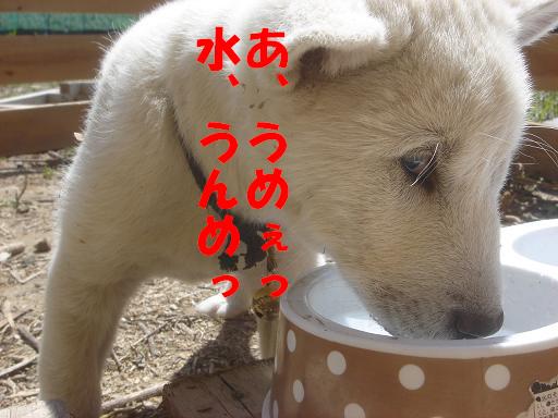 うめぇ.JPG