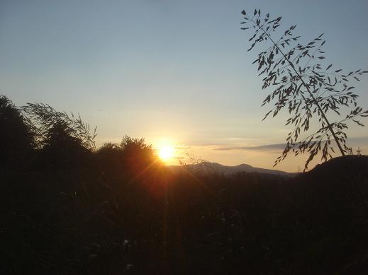 冷たい夕日.JPG