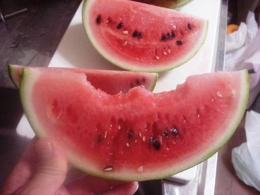 自家生スイカ.JPG