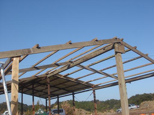 増築分の鶏舎の骨組みができた.JPG