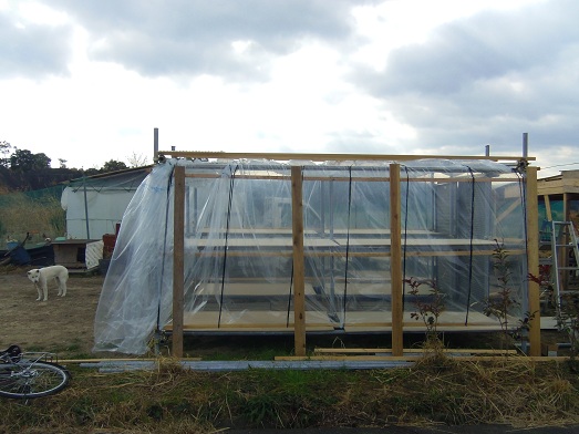 ビニールハウス.jpg