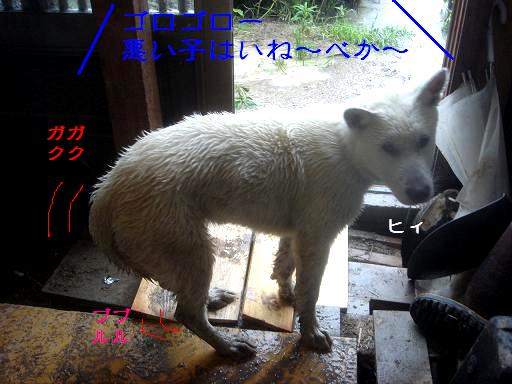 足を震わせて.JPG