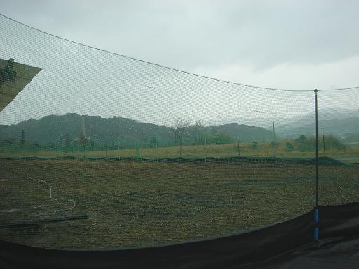 雨の農場.JPG