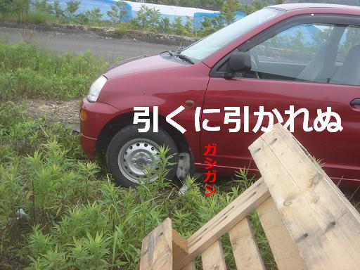 引くに引かれぬ.JPG