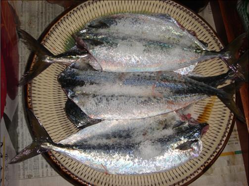 サバの塩漬け.JPG