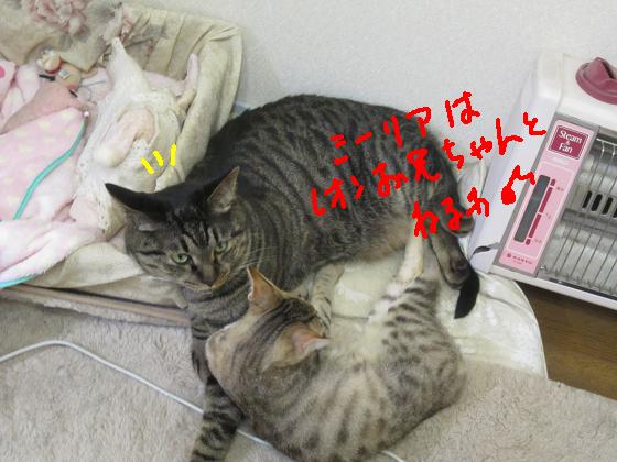 レオン兄ちゃんと