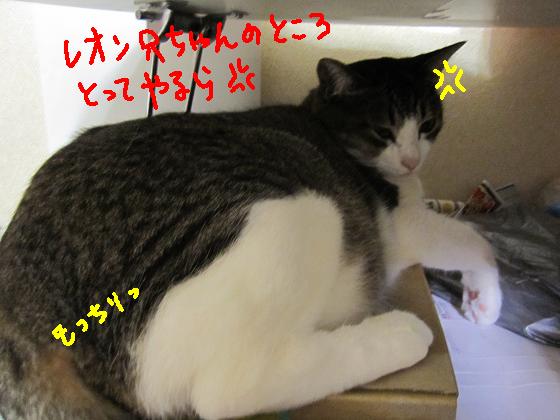 取ってやるら！