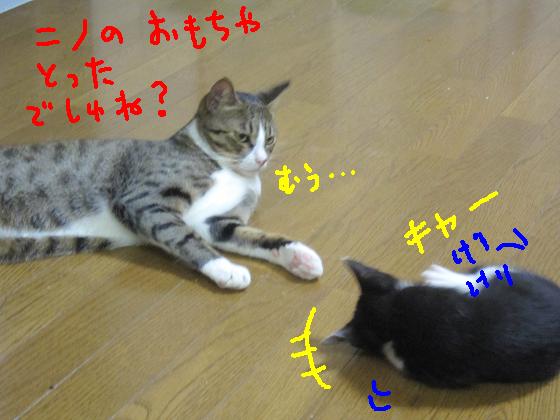 ニノのオモチャ