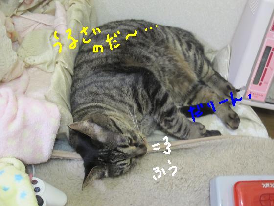 うるさいのだ～