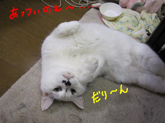 あっついのぉ～