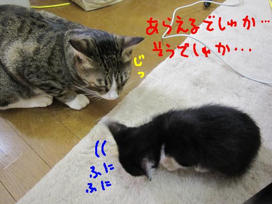 洗えるでしゅか・・・