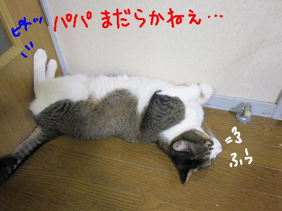 まだらかねぇ？