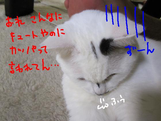 こんなにキュート