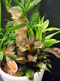 DSCF3610.JPG