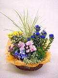 DSCF8344.JPG