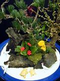 DSCF81010.JPG