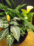 DSCF3499.JPG