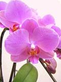 DSCF9073.JPG