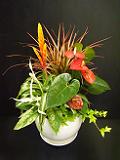 DSCF3805.JPG